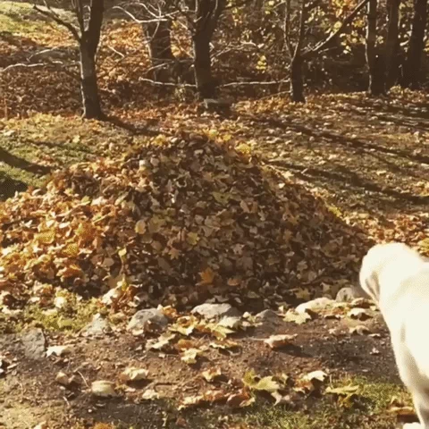 wpadnijcie tu czasami wpadnijcie tu czasami